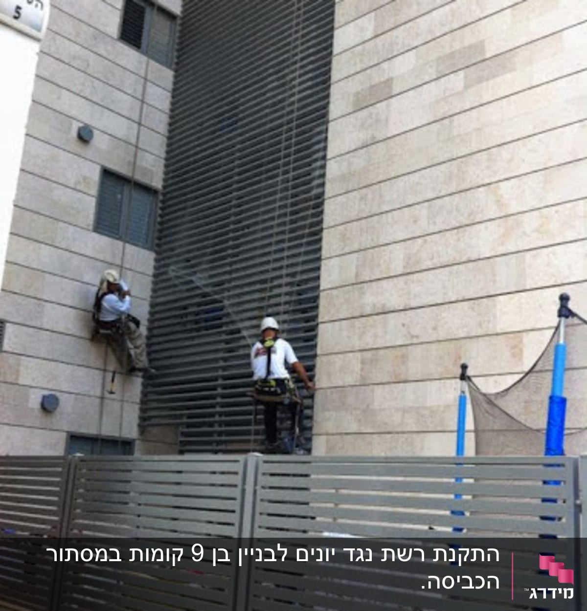 שני עובדים על חבלים מסירים יונים מקיר בניין